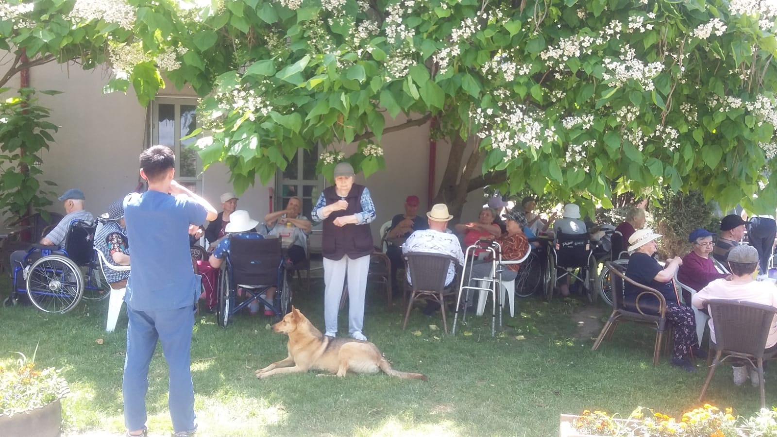 Activitate în grădină