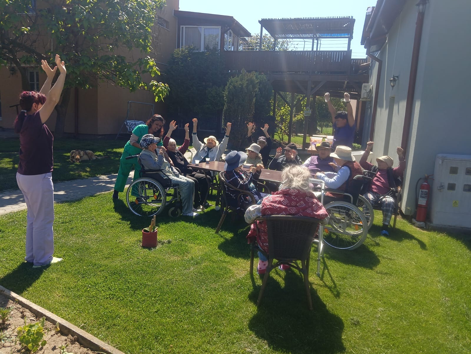 Activități de grup în grădină