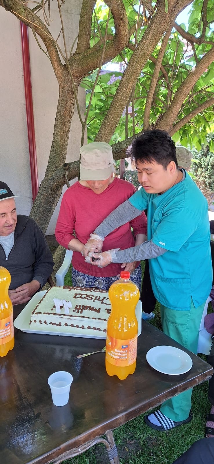 Tort de ziua de naștere în grădină